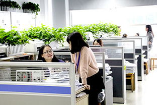 蓉申态教育咨询 助力成长的专业选择